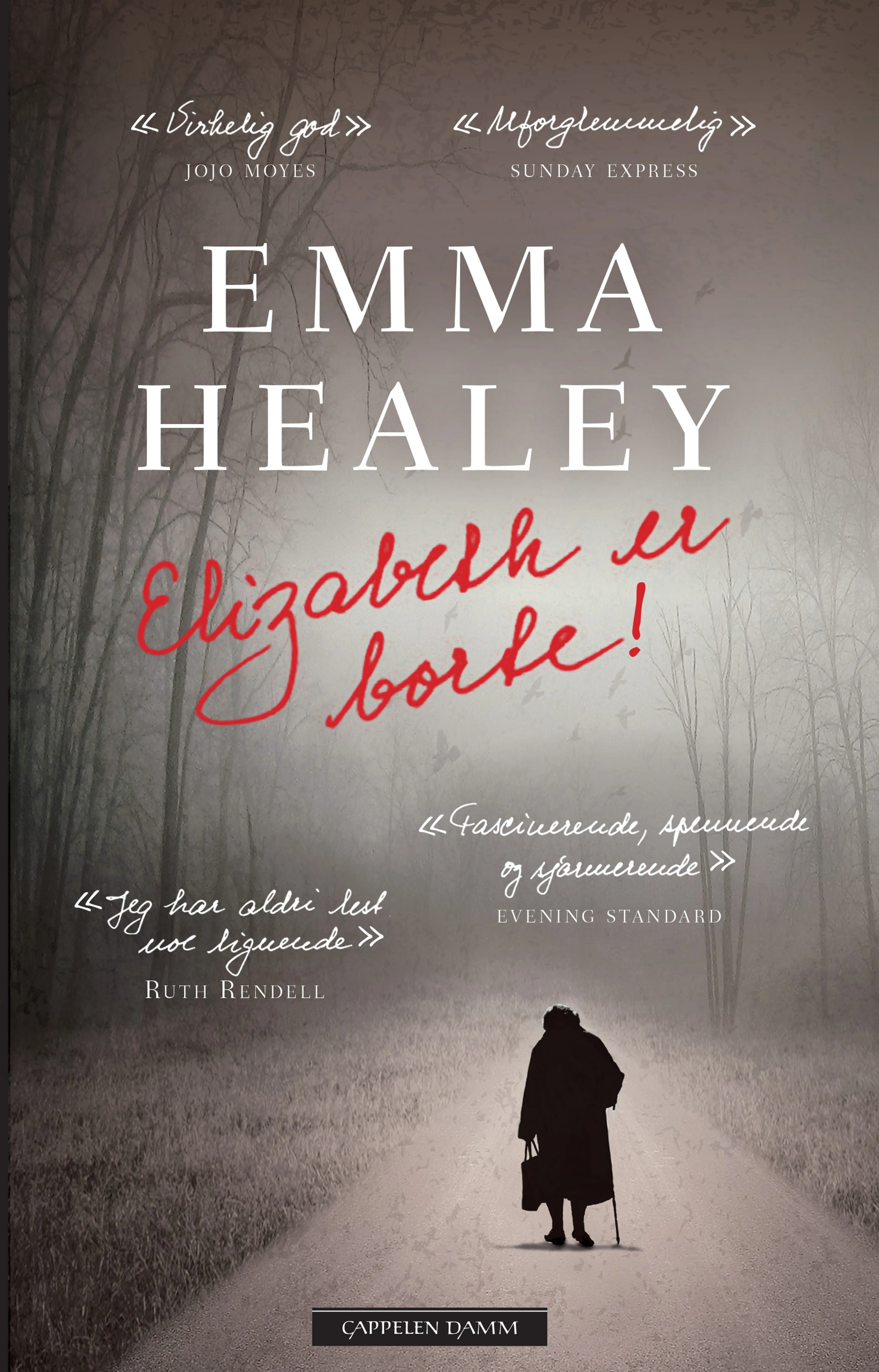 Omslag Elizabeth er borte av Emma Healey (Ebok)