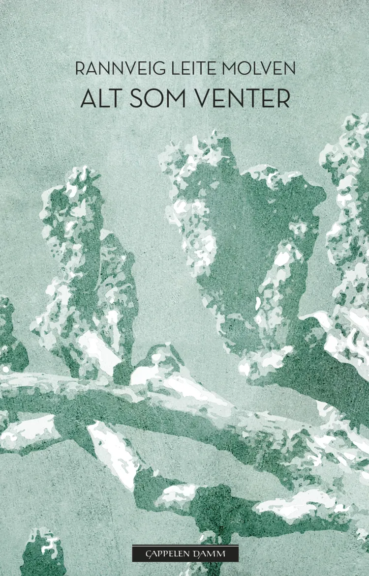 Omslag Alt som venter av Rannveig Leite Molven (Ebok)
