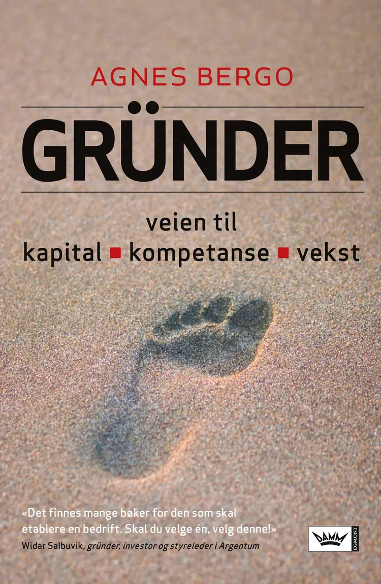Omslag Gründer av Agnes Bergo (Heftet)