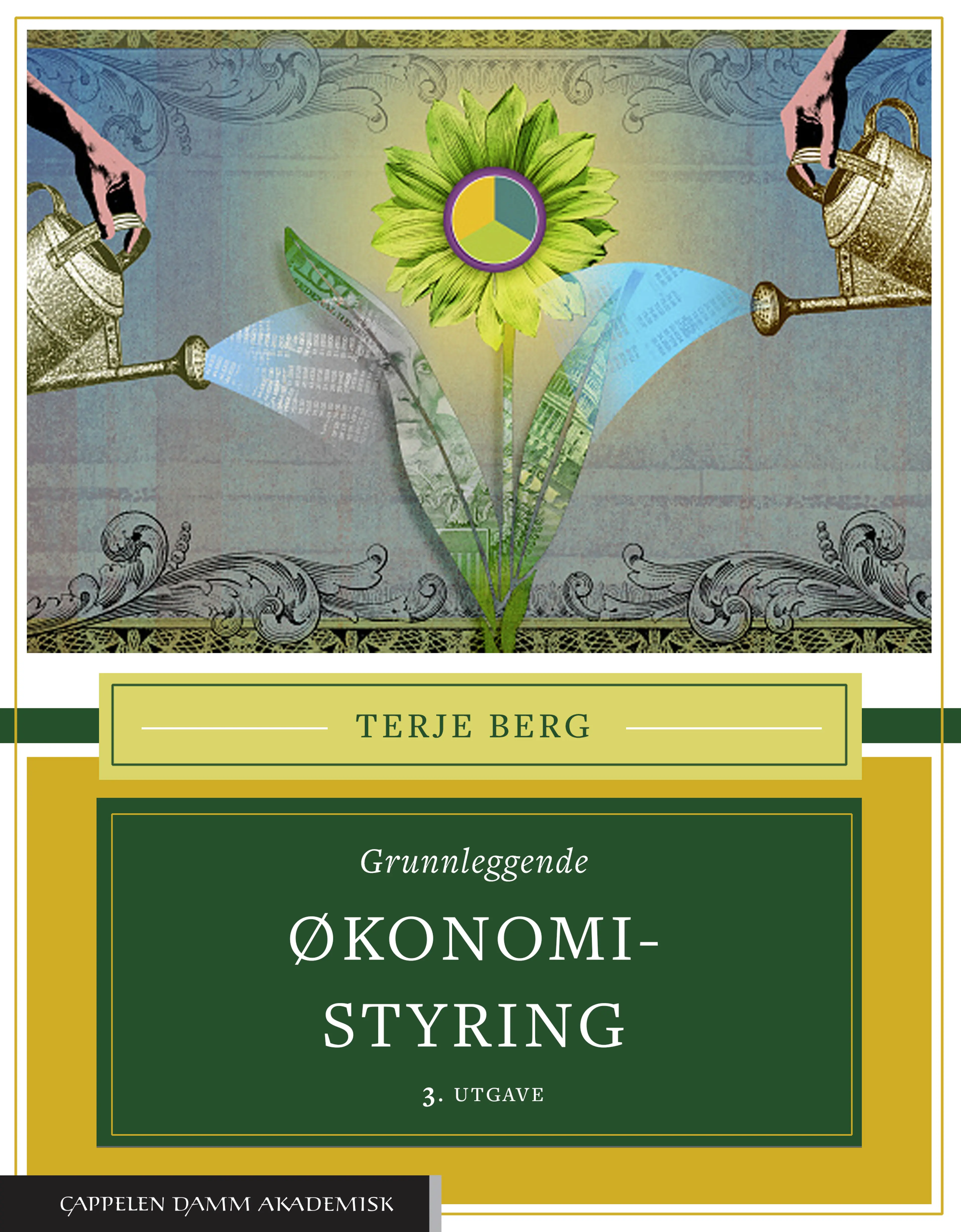 Omslag Grunnleggende økonomistyring av Terje Berg (Innbundet)