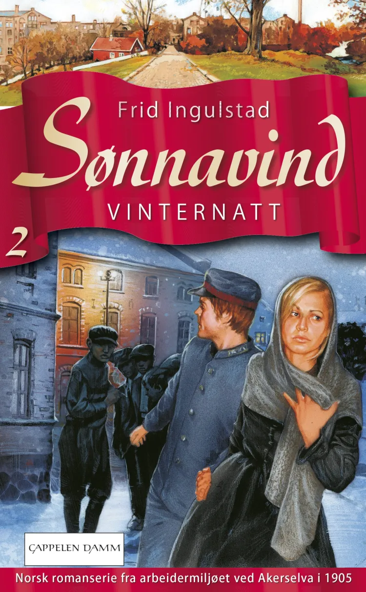 Omslag Vinternatt av Frid Ingulstad (Heftet)