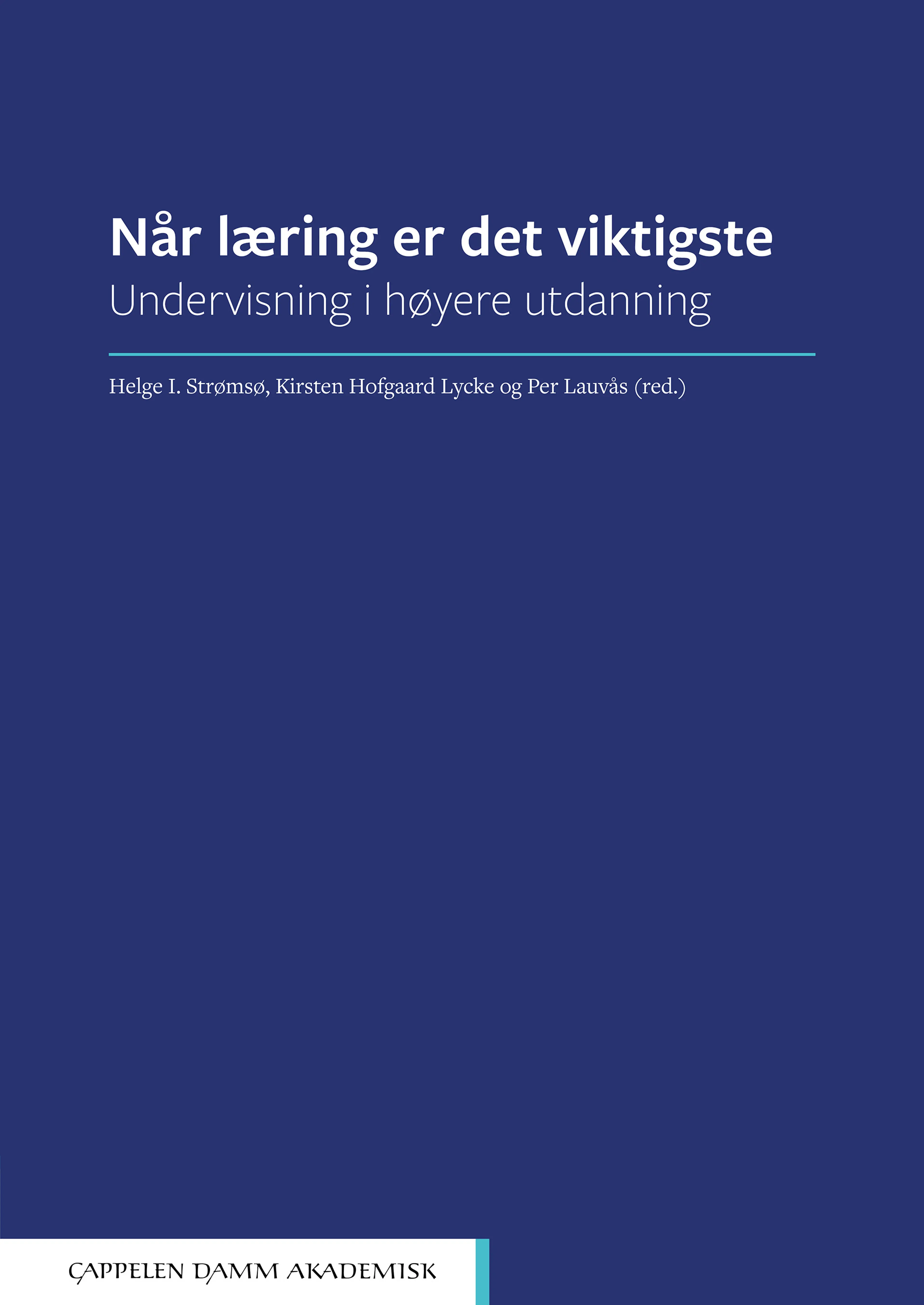 Omslag Når læring er det viktigste av Helge I. Strømsø, Kirsten Hofgaard Lycke og Per Lauvås (red.) (Heftet)