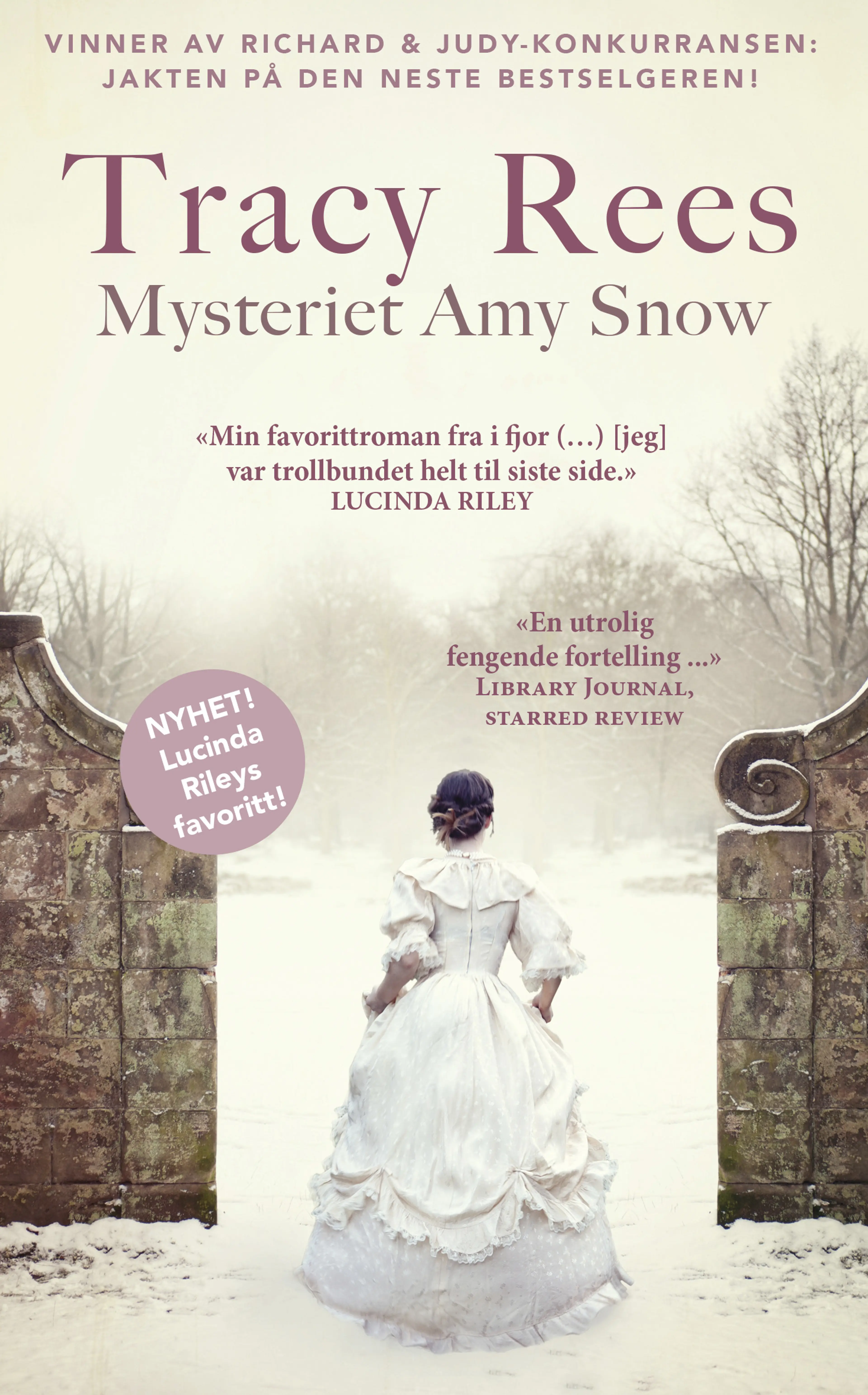Omslag Mysteriet Amy Snow av Tracy Rees (Ebok)