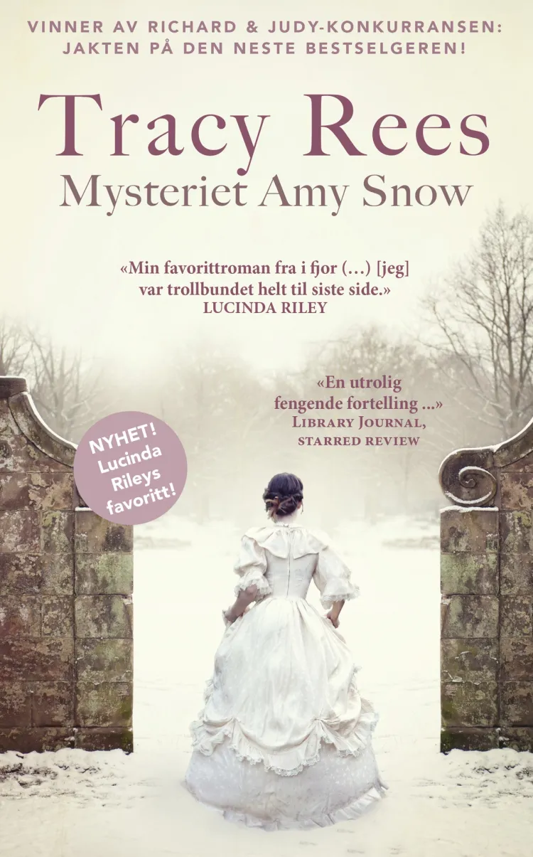 Omslag Mysteriet Amy Snow av Tracy Rees (Ebok)