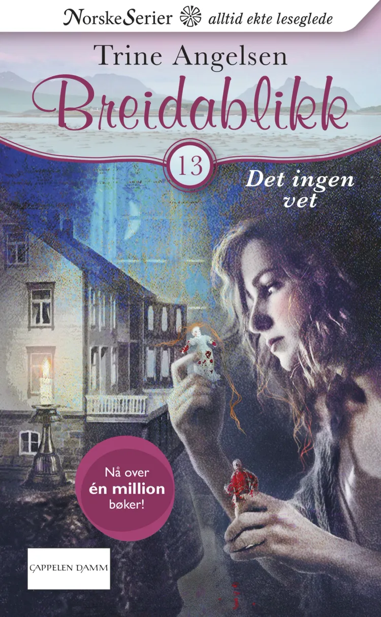 Omslag Det ingen vet av Trine Angelsen (Heftet)