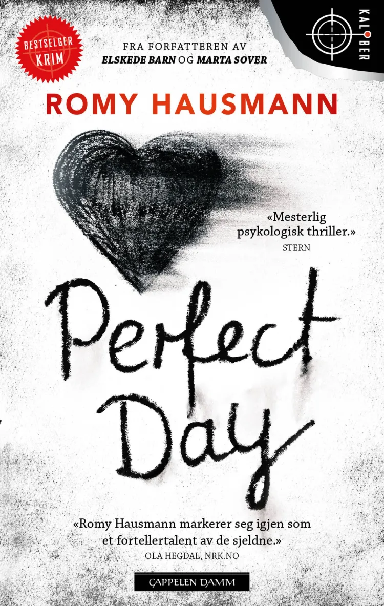 Omslag Perfect Day av Romy Hausmann (Heftet)