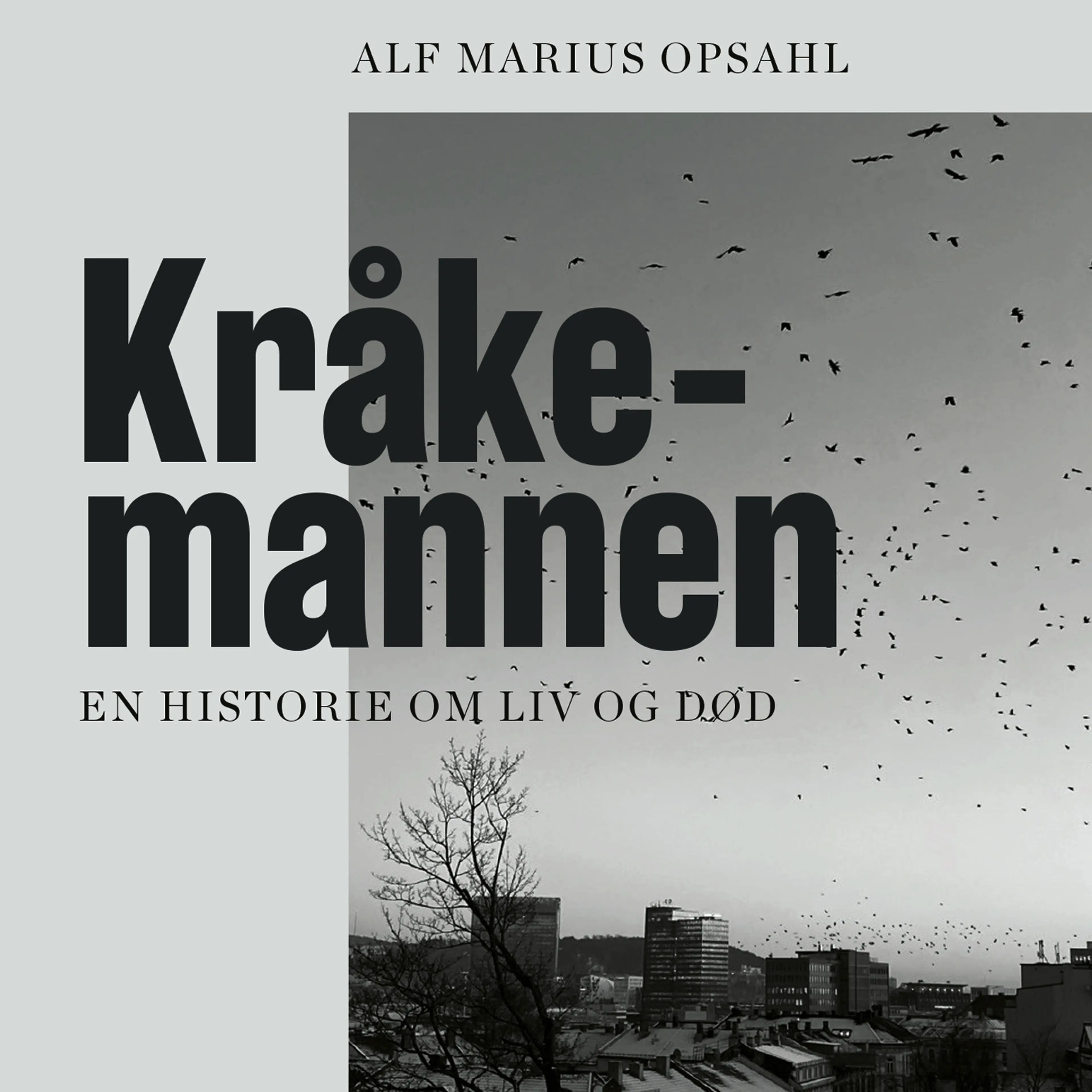 Omslag Kråkemannen - En historie om liv og død av Alf Marius Opsahl (Lydbok)