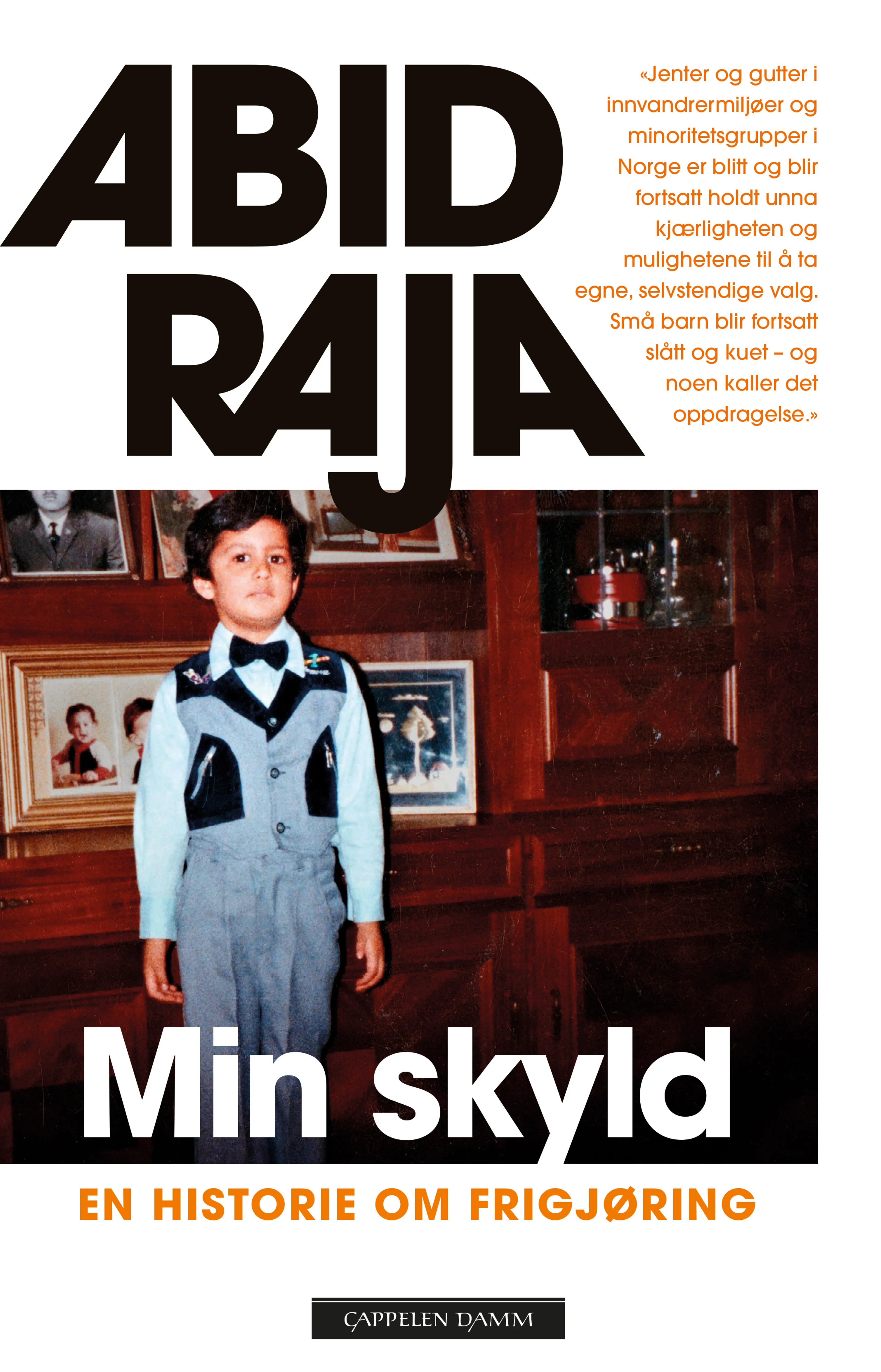 Omslag Min skyld av Abid Raja (Ebok)