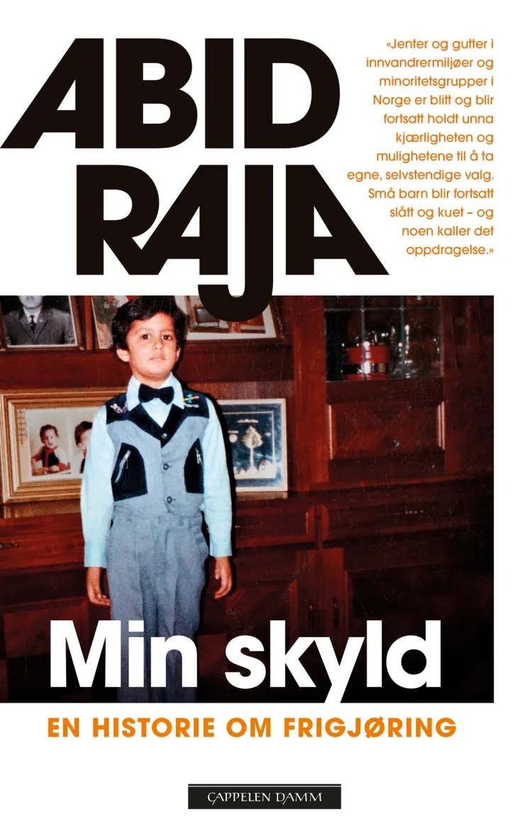 Omslag Min skyld av Abid Raja (Ebok)