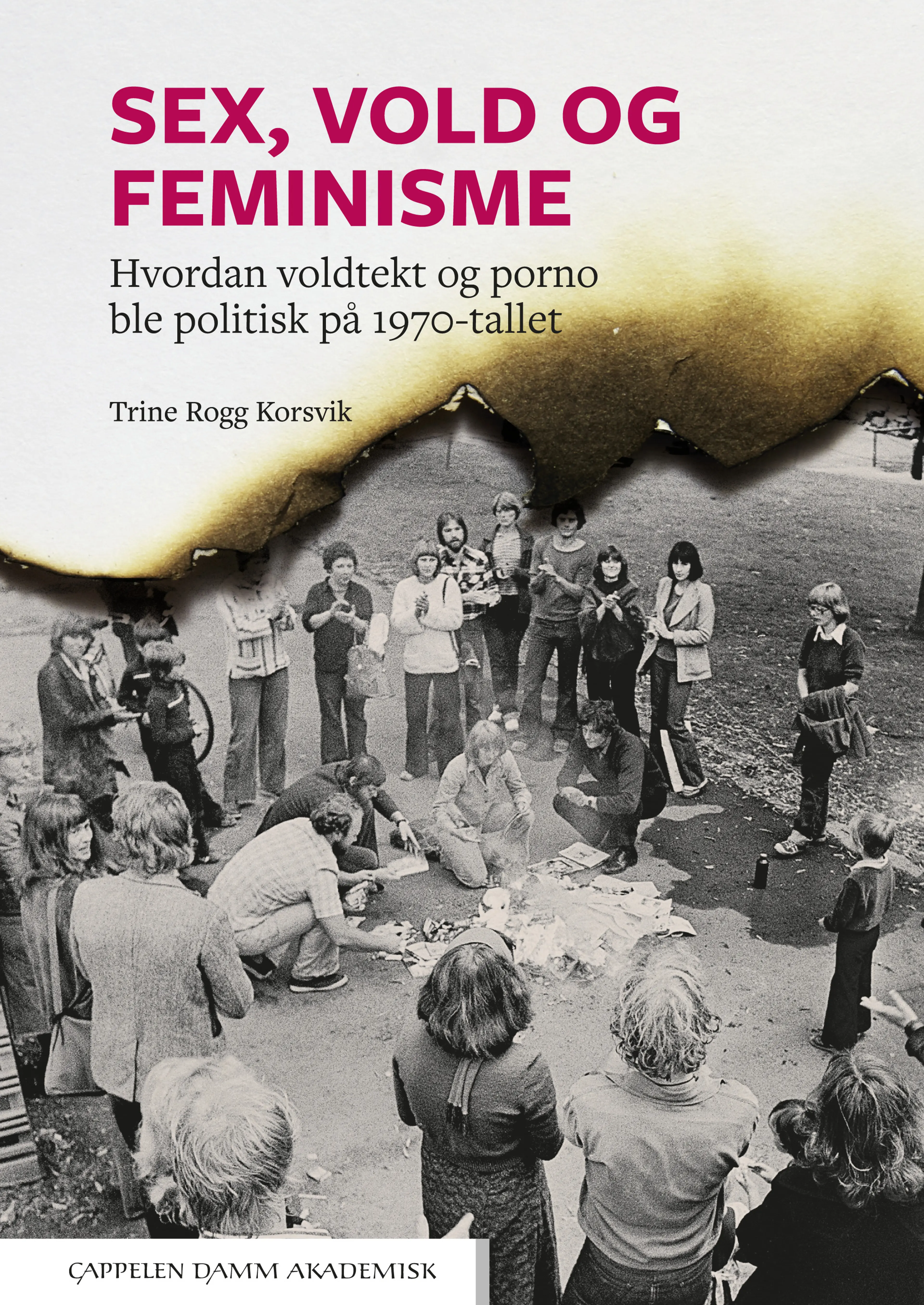 Omslag Sex, vold og feminisme av Trine Rogg Korsvik (Heftet)