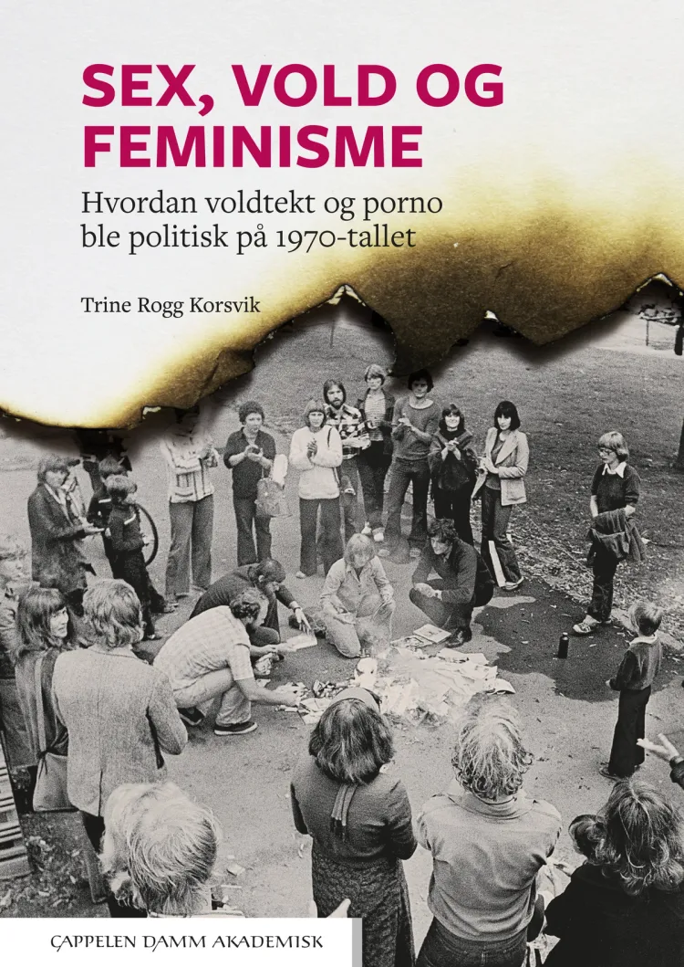 Omslag Sex, vold og feminisme av Trine Rogg Korsvik (Heftet)