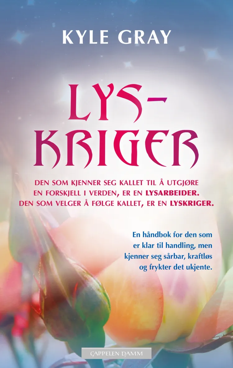 Omslag Lyskriger av Kyle Gray (Ebok)