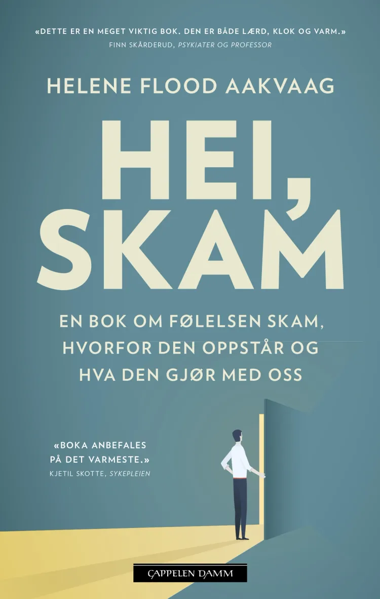 Omslag Hei, skam av Helene Flood Aakvaag (Heftet)