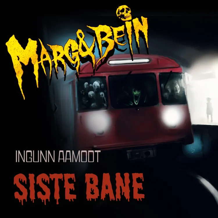 Omslag Siste bane av Ingunn Aamodt (Lydbok)