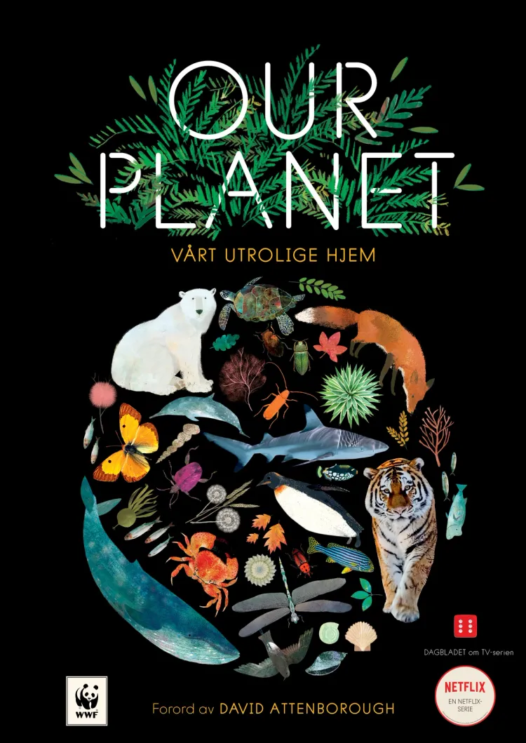Omslag OUR PLANET - Vårt utrolige hjem av Matt Whyman (Innbundet)