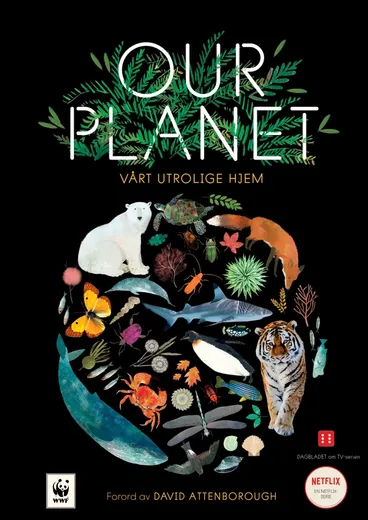 Omslag OUR PLANET - Vårt utrolige hjem av Matt Whyman (Innbundet)
