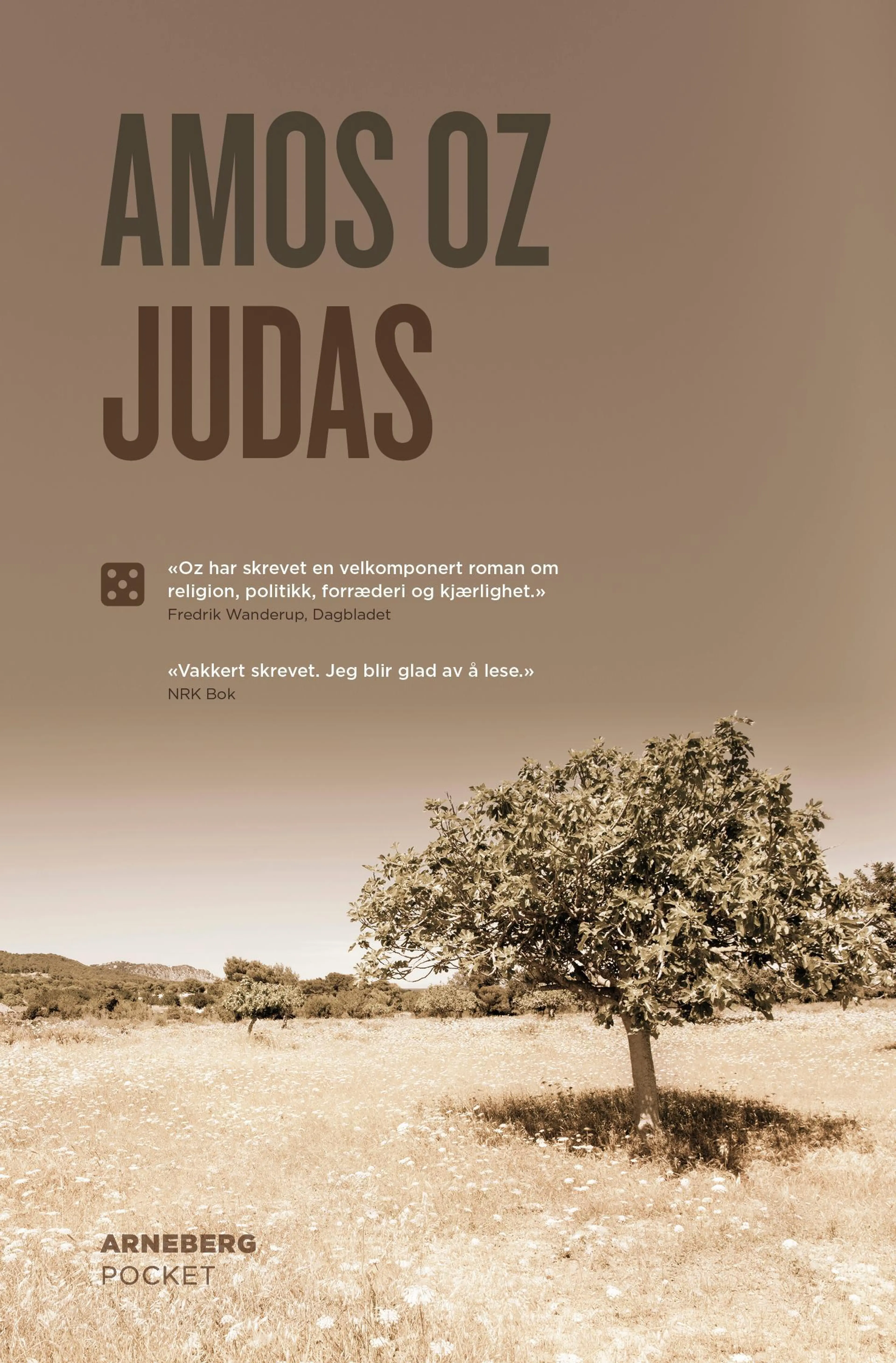 Omslag Judas av Amos Oz (Heftet)