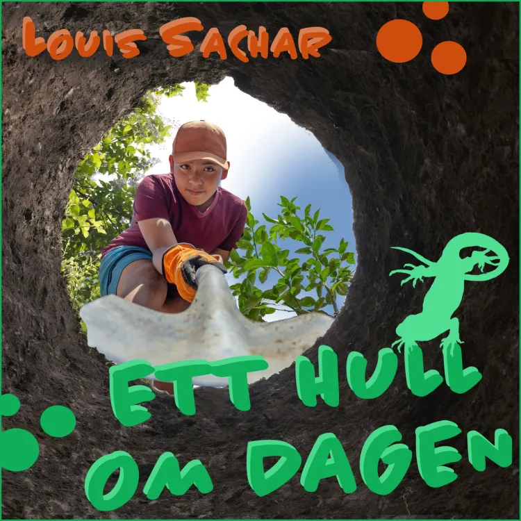 Omslag Ett hull om dagen av Louis Sachar (Lydbok)