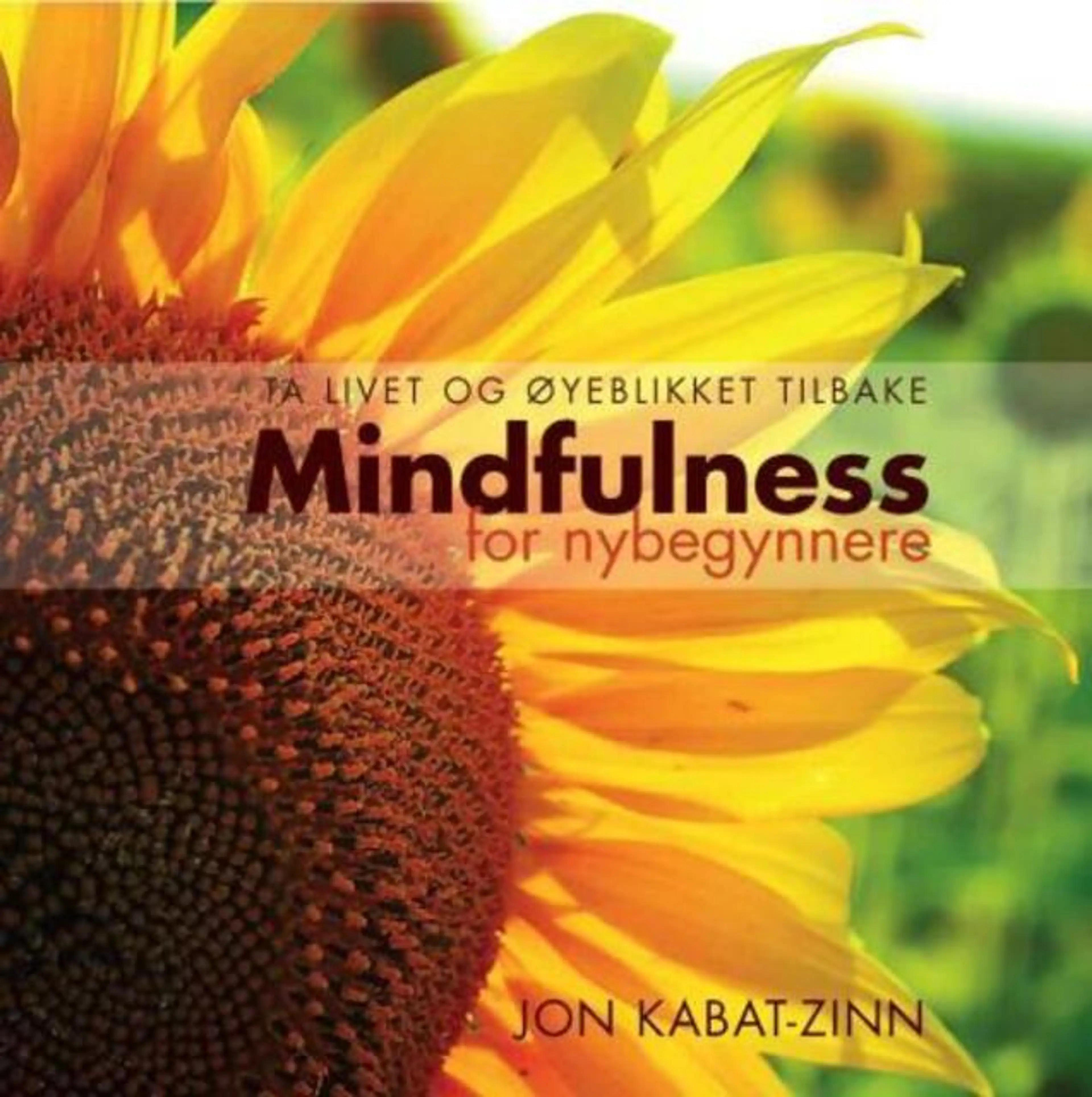Omslag Mindfulness for nybegynnere av Jon Kabat-Zinn (Ebok)