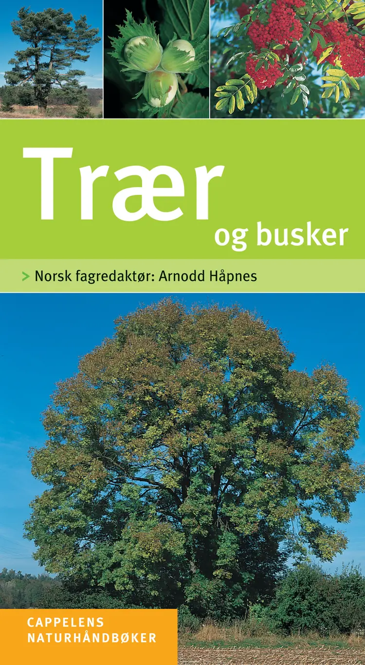 Omslag Trær og busker av Michael Eppinger og Helga Hofmann (red.) (Innbundet)