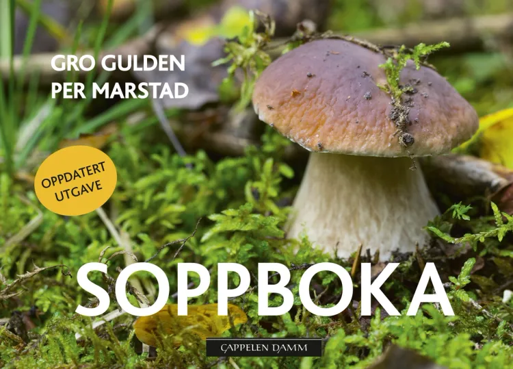 Omslag Soppboka av Gro Gulden (Innbundet)