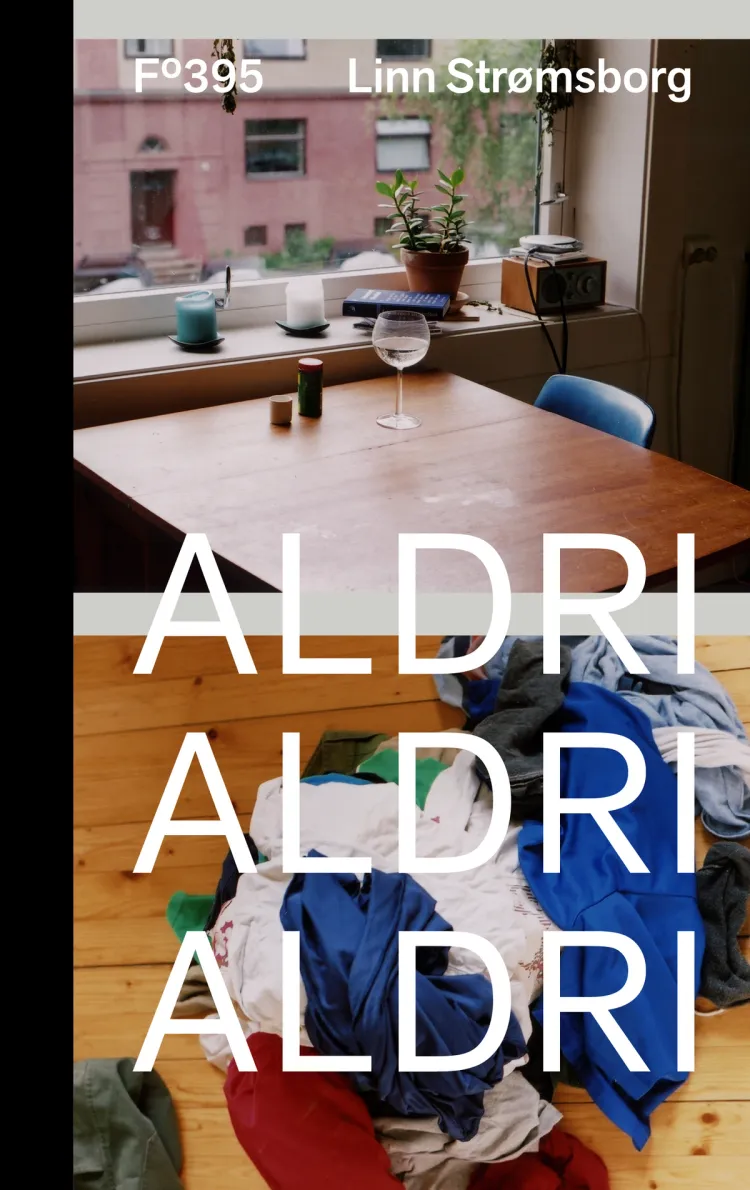 Omslag Aldri, aldri, aldri av Linn Strømsborg (Innbundet)