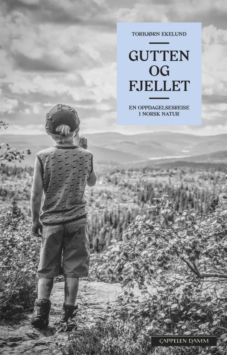 Omslag Gutten og fjellet av Torbjørn Ekelund (Innbundet)