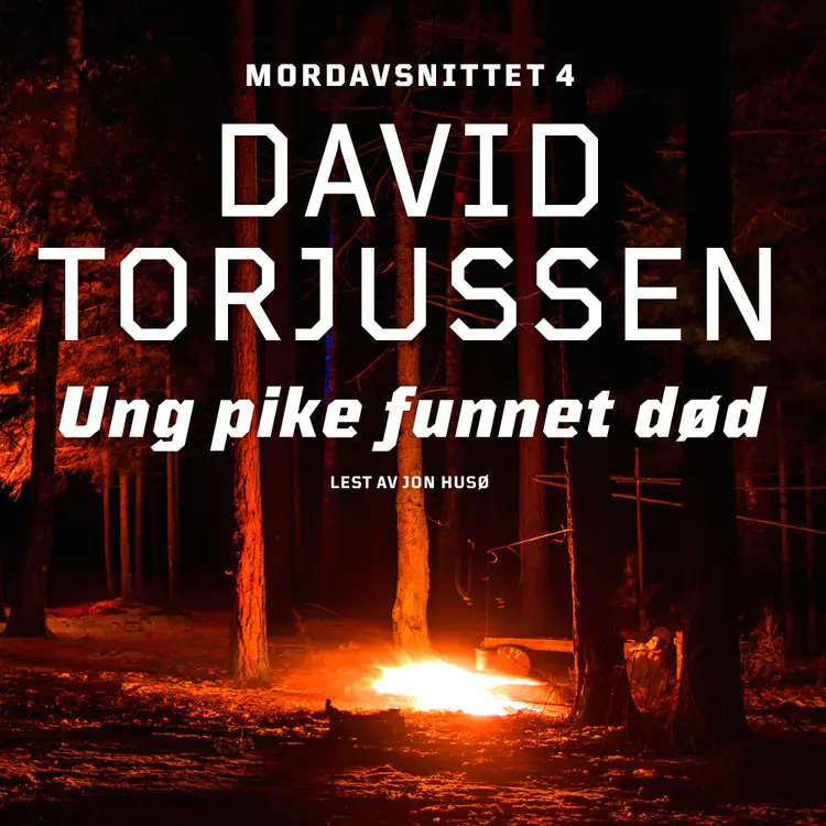 Omslag Ung pike funnet død av David Torjussen (Nedlastbar lydbok)
