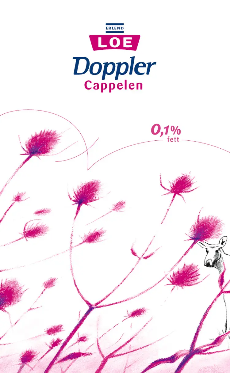 Omslag Doppler av Erlend Loe (Heftet)