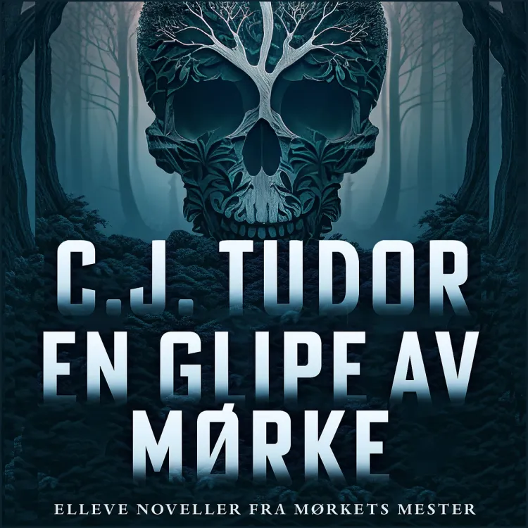 Omslag En glipe av mørke av C.J. Tudor (Lydbok)
