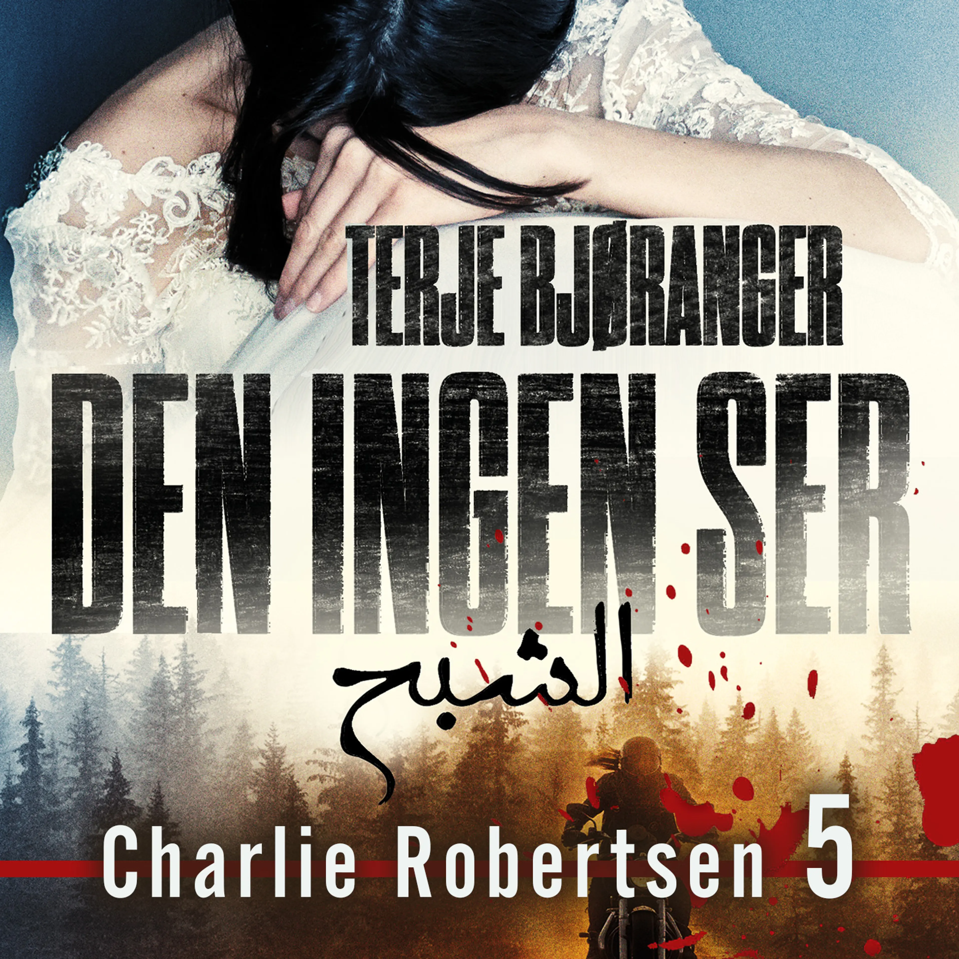 Omslag Den ingen ser av Terje Bjøranger (Lydbok)