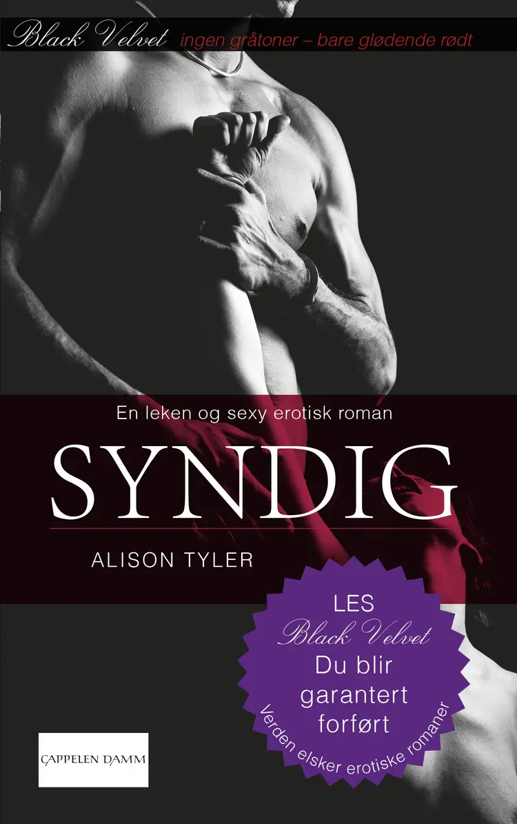 Omslag Syndig av Alison Tyler (Ebok)