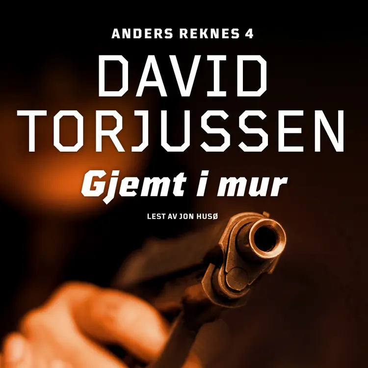Omslag Gjemt i mur av David Torjussen (Nedlastbar lydbok)