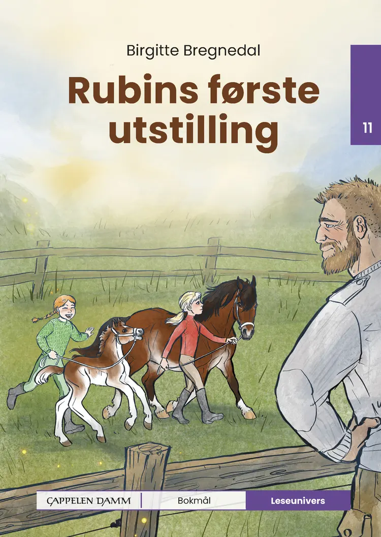 Omslag Leseunivers 11: Rubins første utstilling av Birgitte Bregnedal (Innbundet)
