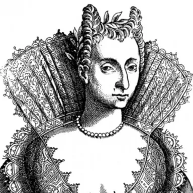 Bidragsyter Moderata Fonte
