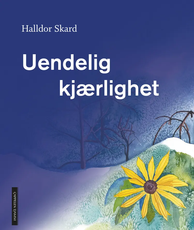 Omslag Uendelig kjærlighet av Halldor Skard (Innbundet)