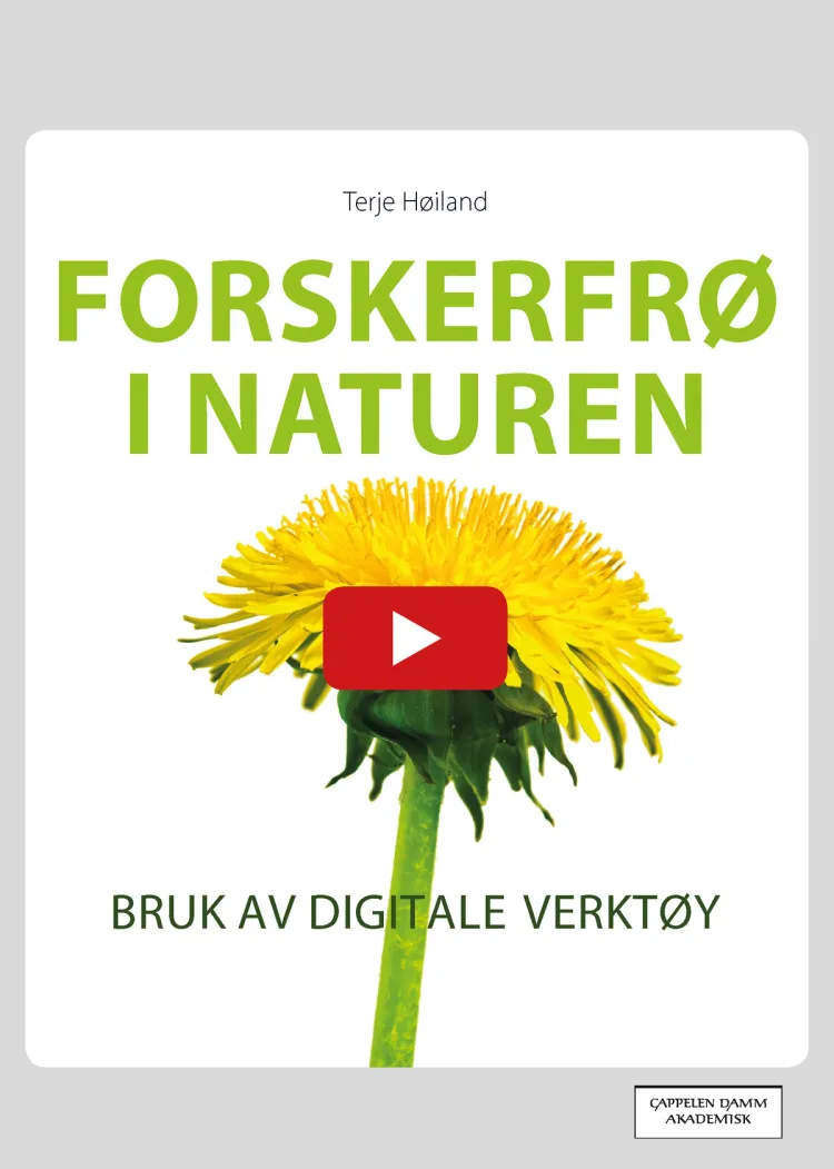 Omslag Forskerfrø i naturen av Terje Høiland (Heftet)