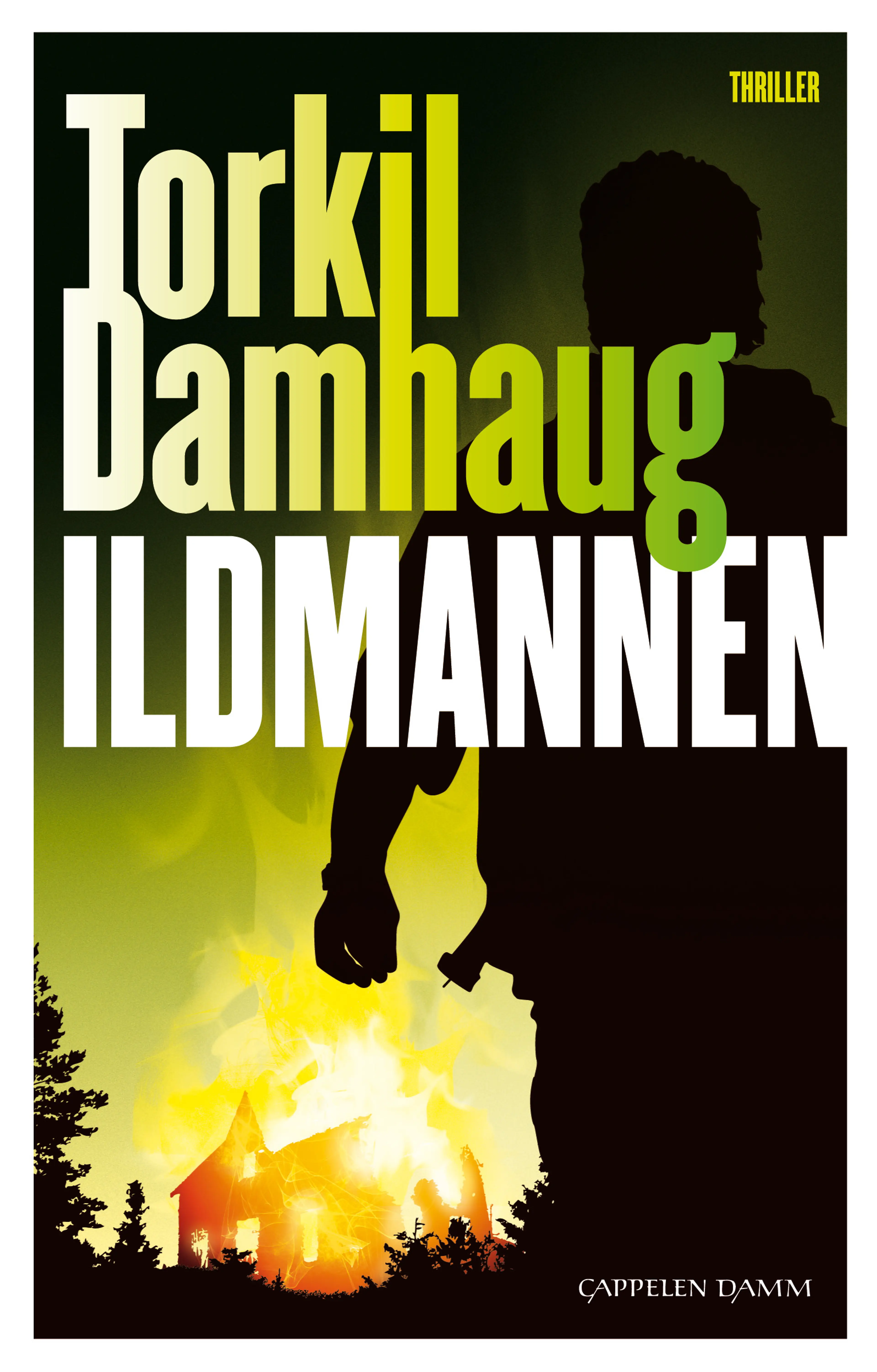 Omslag Ildmannen av Torkil Damhaug (Ebok)