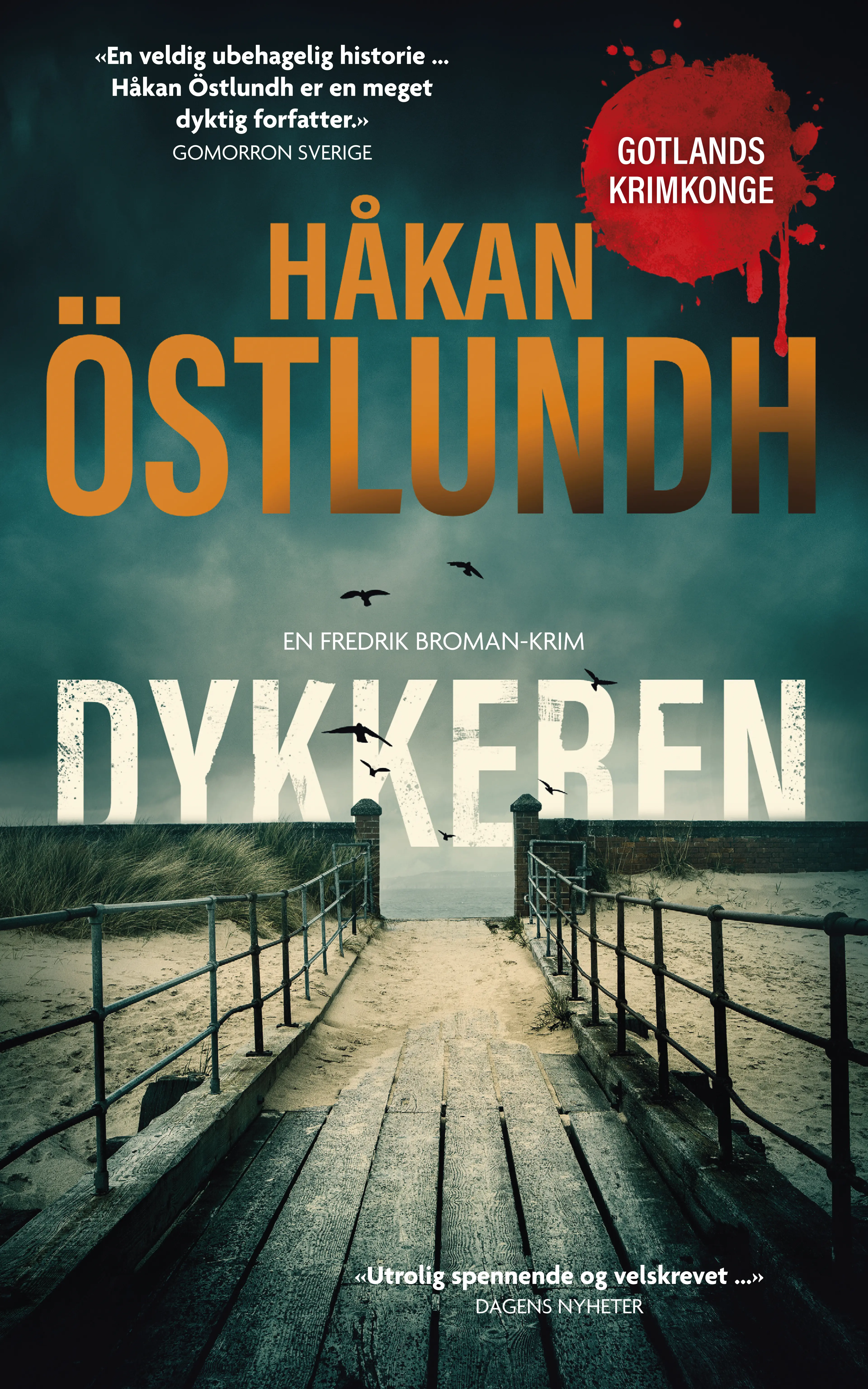Omslag Dykkeren av Håkan Östlundh (Ebok)