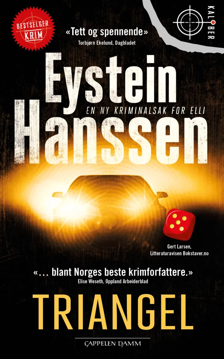 Omslag Triangel av Eystein Hanssen (Ebok)