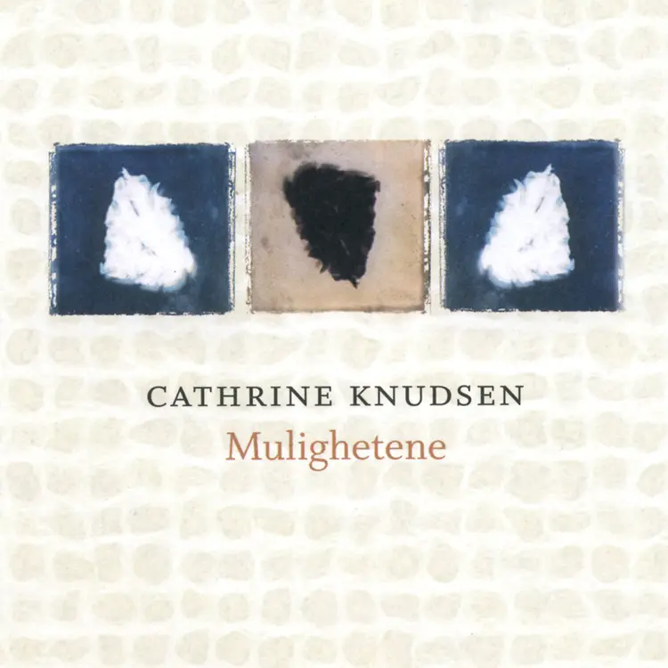 Omslag Mulighetene av Cathrine Knudsen (Lydbok)