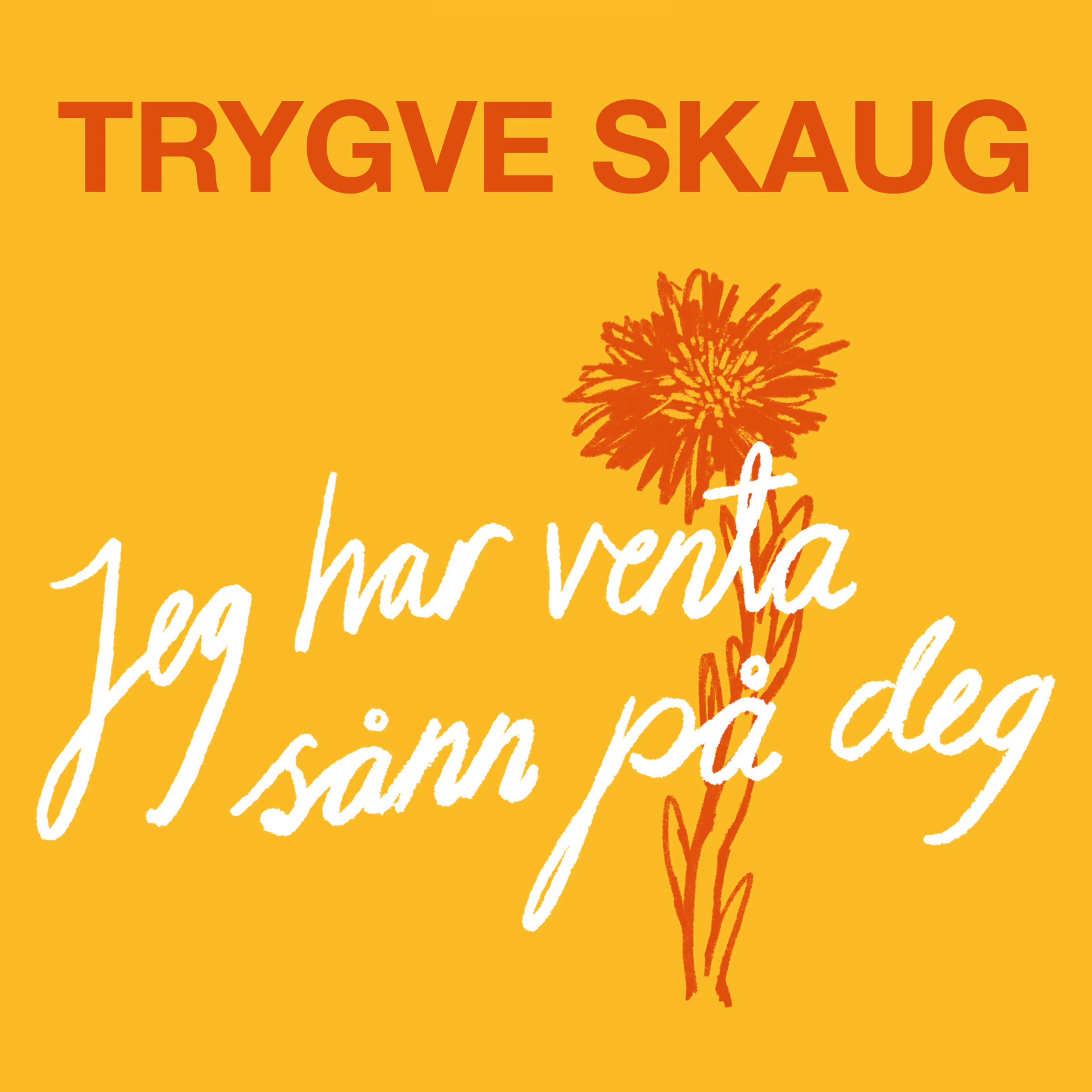 Omslag Jeg har venta sånn på deg av Trygve Skaug (Lydbok)