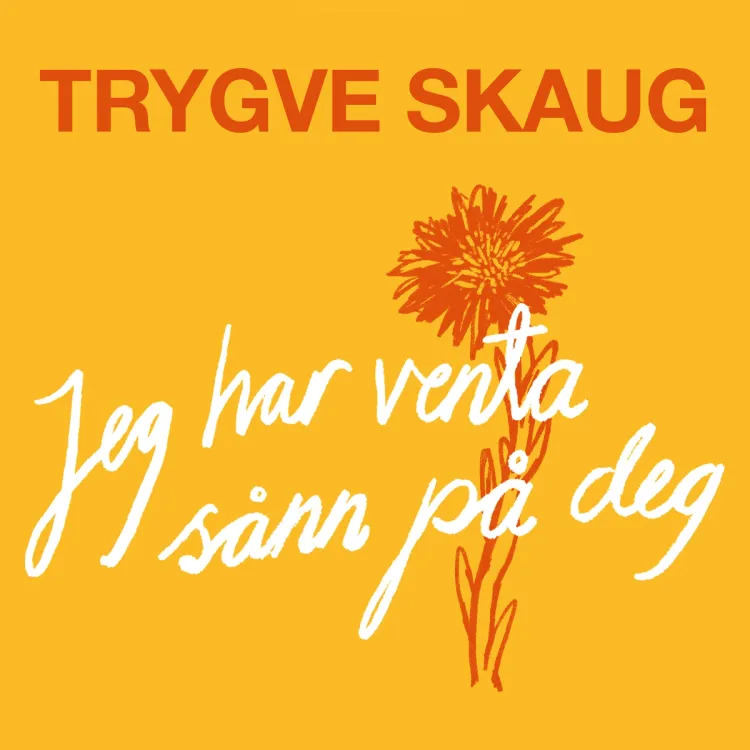 Omslag Jeg har venta sånn på deg av Trygve Skaug (Lydbok)