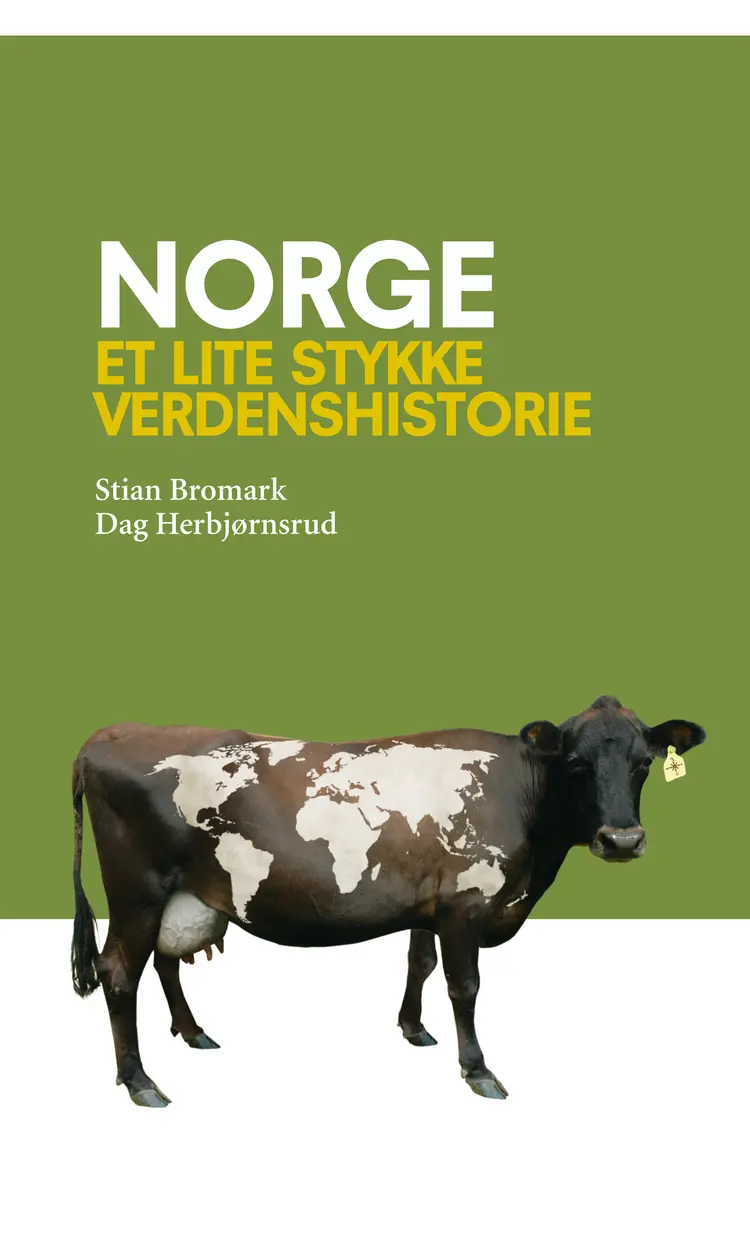 Omslag Norge - et lite stykke verdenshistorie av Stian Bromark og Dag Herbjørnsrud (Ebok)
