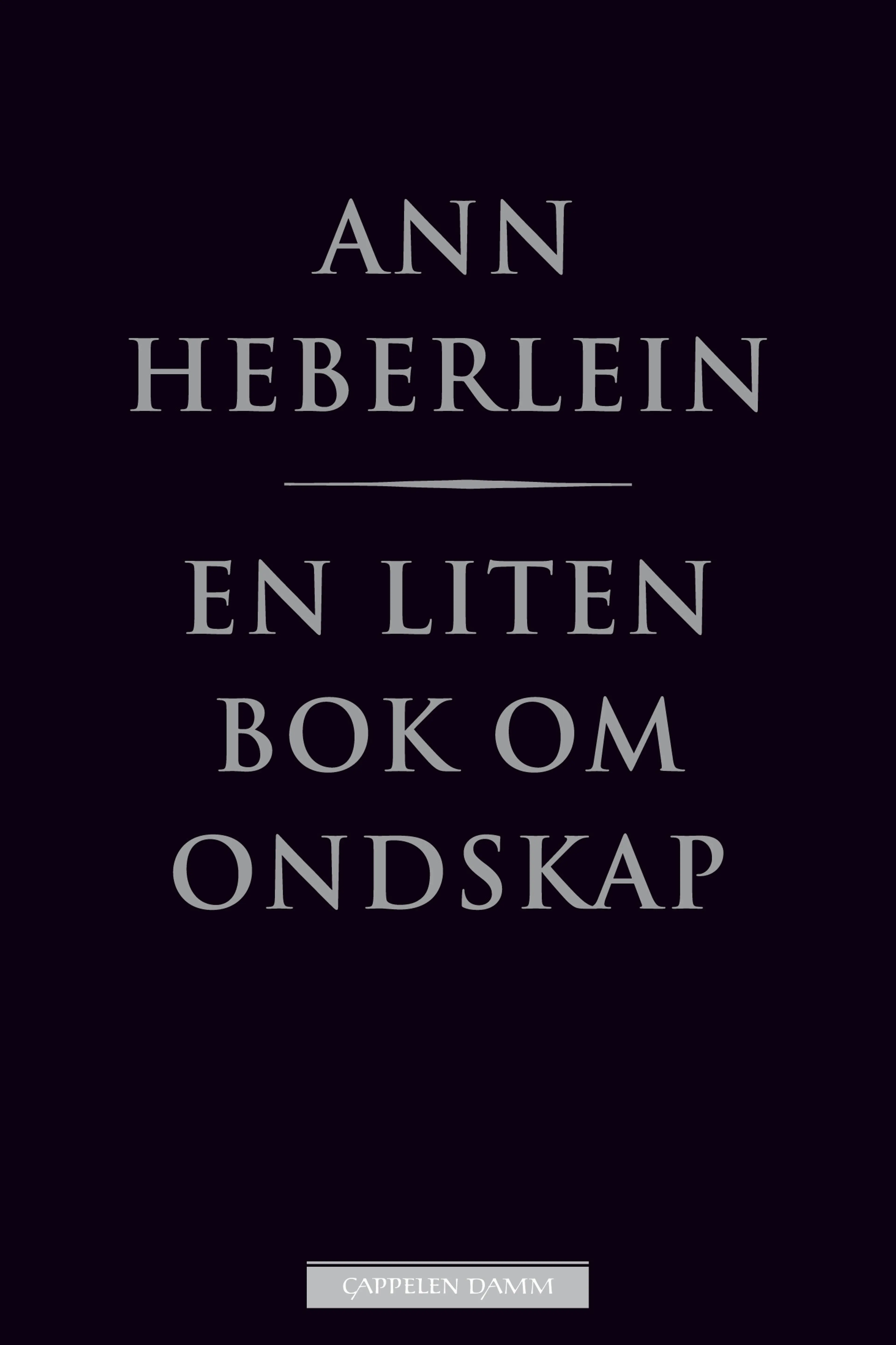 Omslag En liten bok om ondskap av Ann Heberlein (Innbundet)