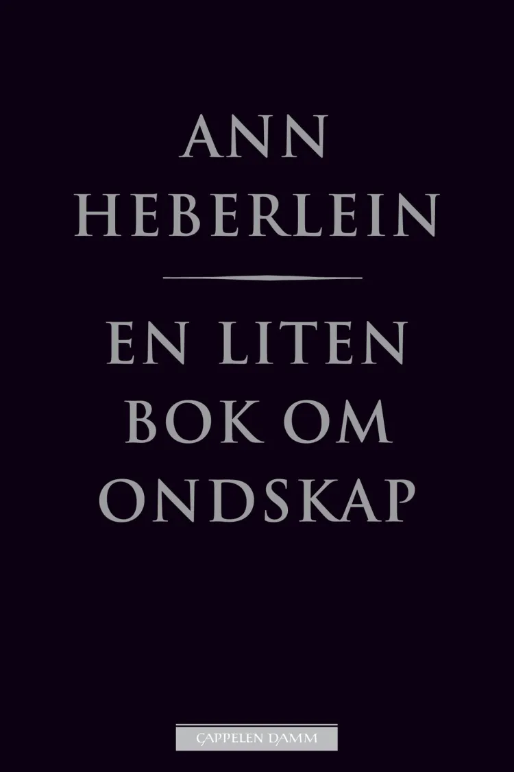 Omslag En liten bok om ondskap av Ann Heberlein (Innbundet)