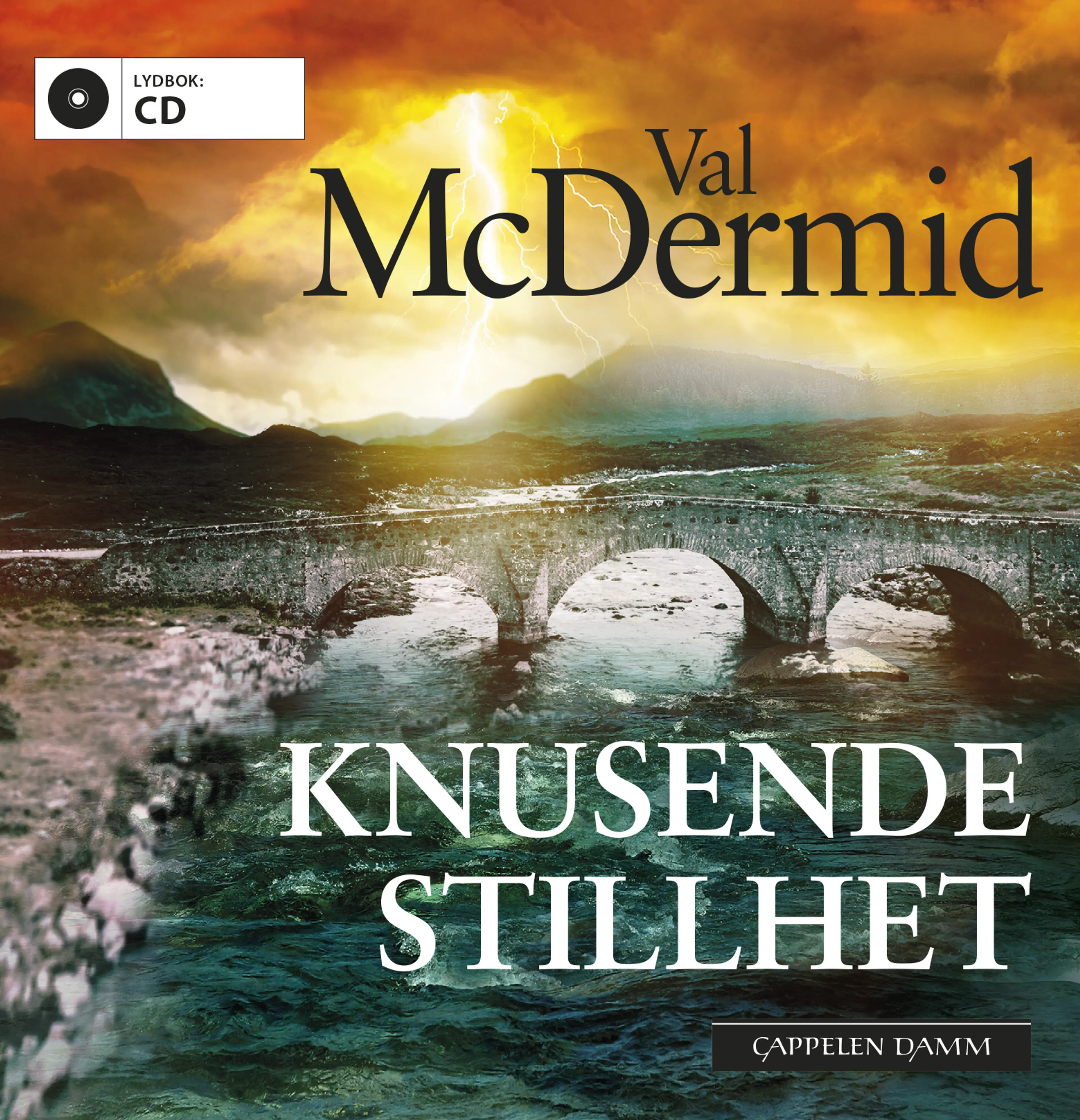 Omslag Knusende stillhet av Val McDermid (CD)