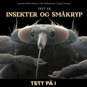 Omslag Tett på insekter og småkryp av Jannicke Wiik-Nielsen, Dag O. Hessen og Ole Mathismoen (Lydbok)