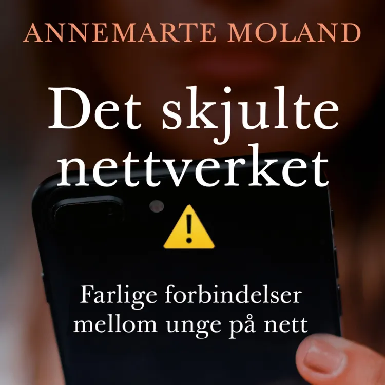 Omslag Det skjulte nettverket - Farlige forbindelser mellom unge på nett av Annemarte Moland (Lydbok)