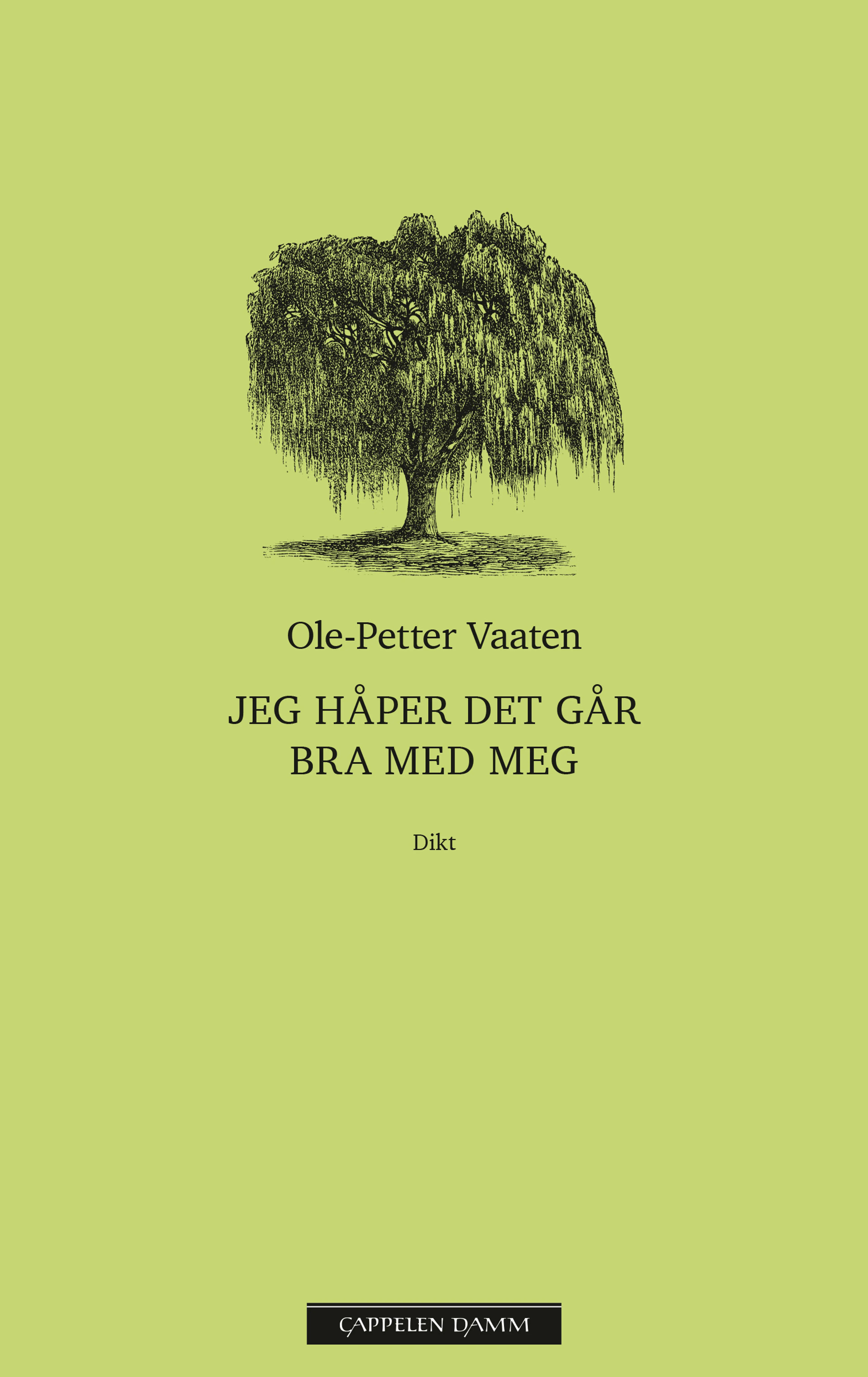 Omslag Jeg håper det går bra med meg av Ole-Petter Vaaten (Ebok)